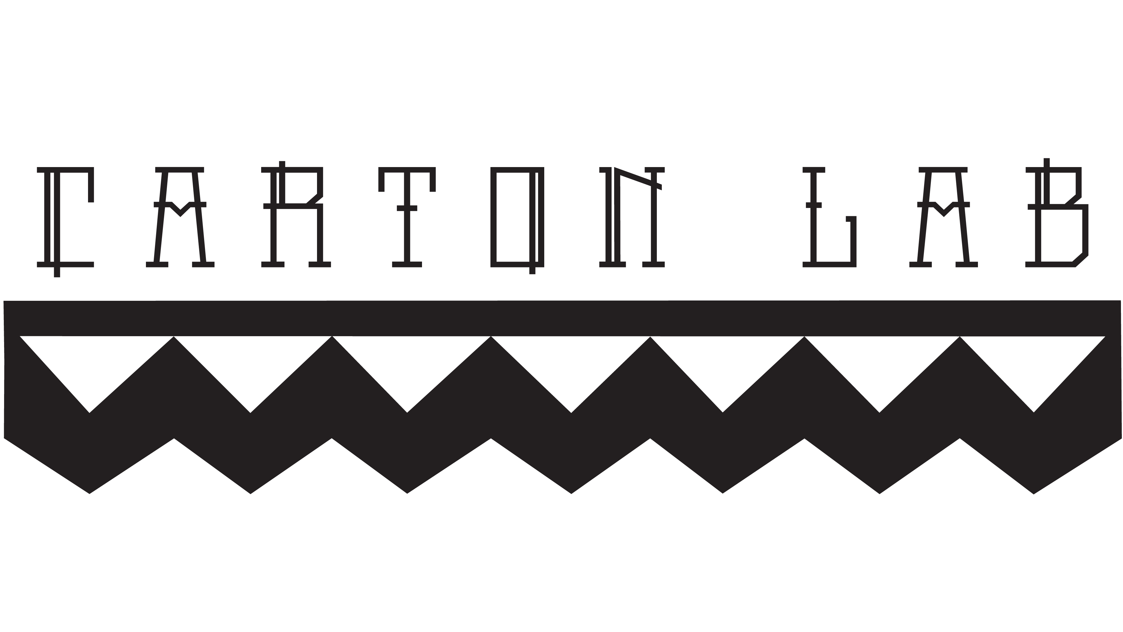 Carton Lab